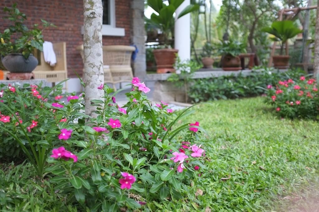 Rock Villa Hội An Extérieur photo